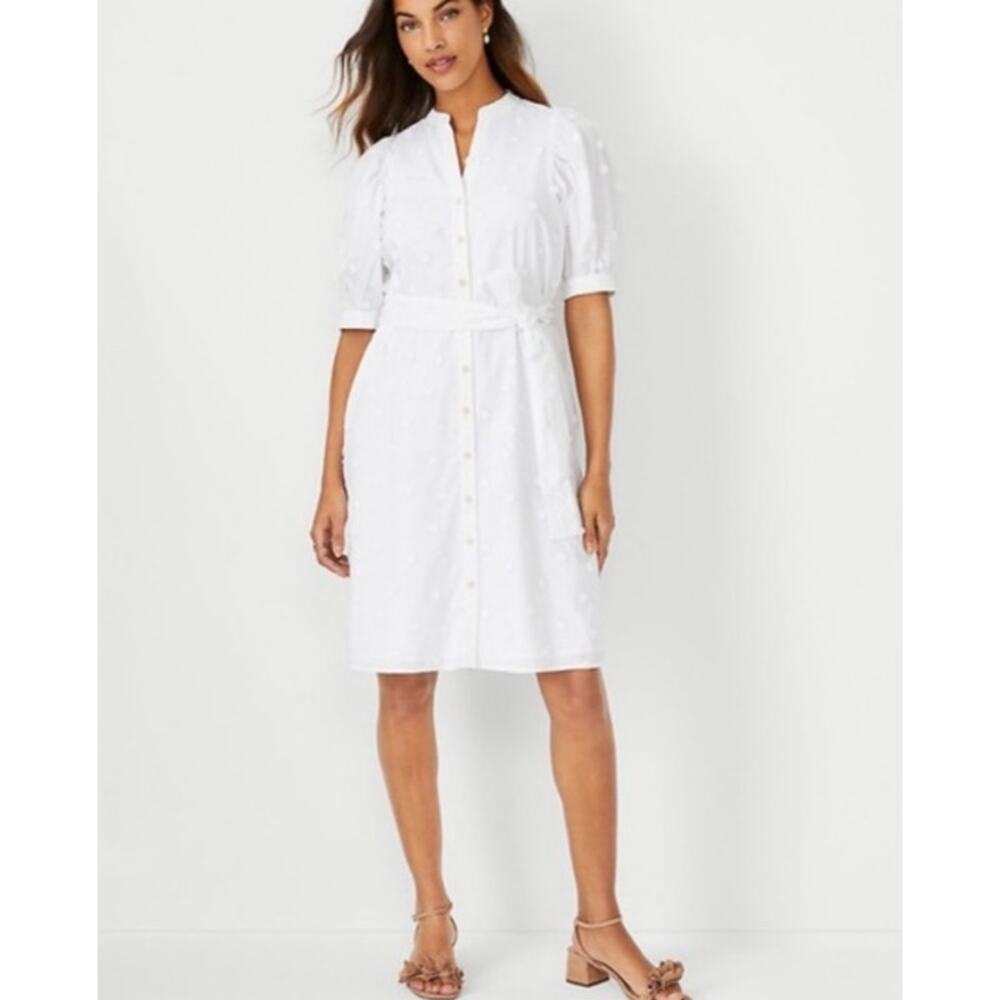 Ann Taylor White Eyelet Button-Front Dress